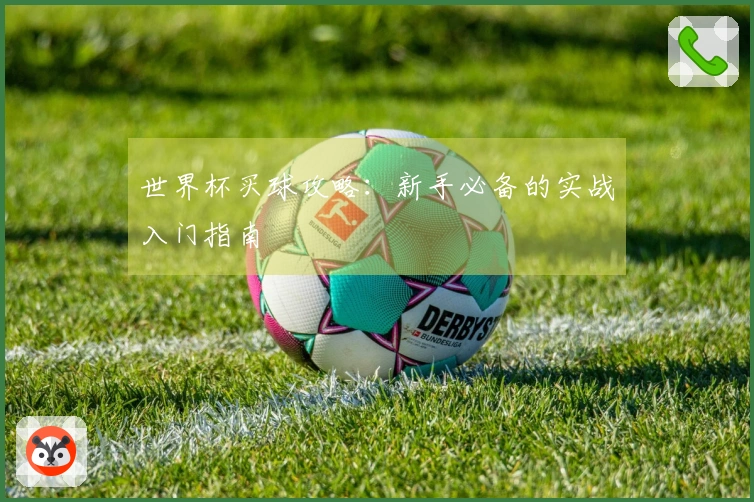 世界杯买球攻略：新手必备的实战入门指南