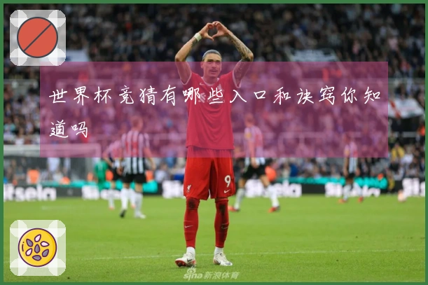 世界杯竞猜有哪些入口和诀窍你知道吗