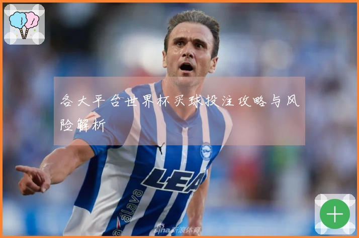 各大平台世界杯买球投注攻略与风险解析