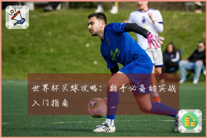 世界杯买球攻略：新手必备的实战入门指南