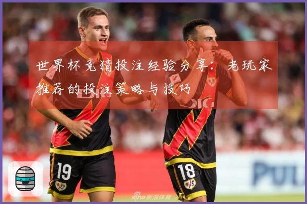 世界杯竞猜投注经验分享：老玩家推荐的投注策略与技巧