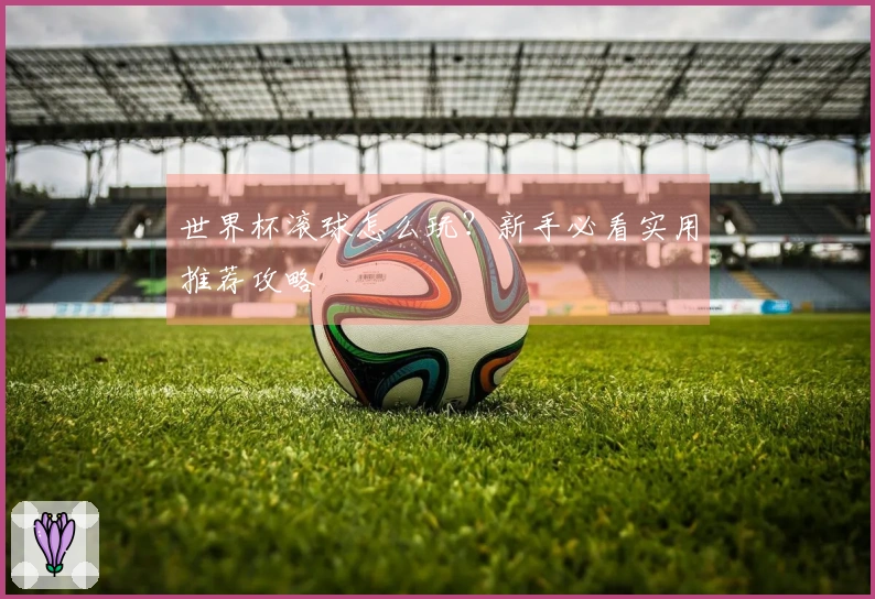 世界杯滚球怎么玩？新手必看实用推荐攻略