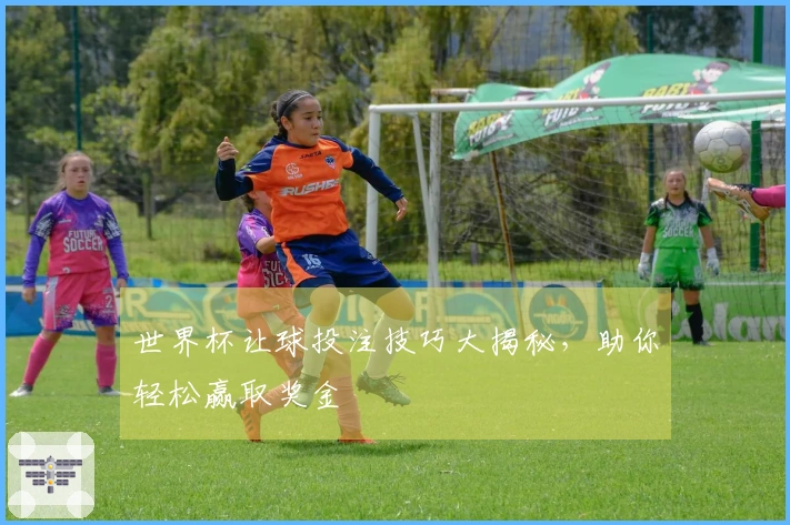世界杯让球投注技巧大揭秘，助你轻松赢取奖金