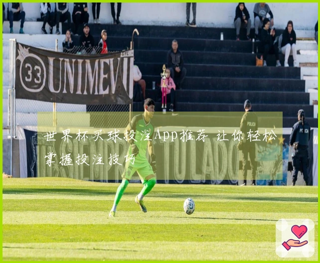 世界杯买球投注App推荐 让你轻松掌握投注技巧